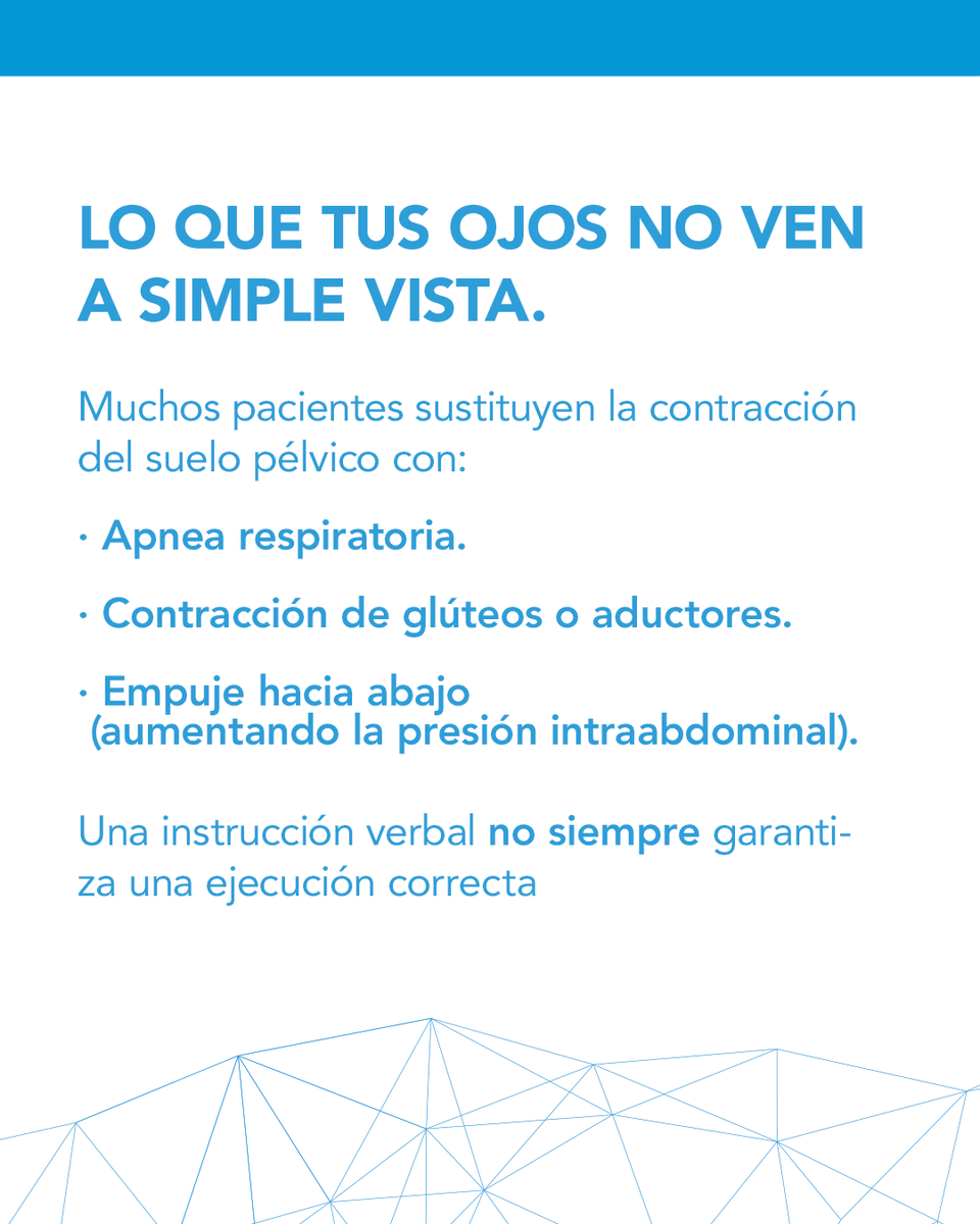 PRIM Physio tweet media