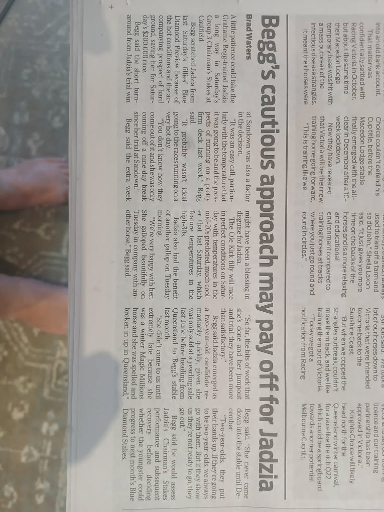 Drstrange69's tweet image. Here's an article about our horse 🐎 😀 (Essendon Grog Squad)..runs tomorrow at Caulfield...Race 6 no 7..Race on at 3.10pm..#GIVE HER STRENGTH. Go Jadzia.First time I've had a share in a horse running in Town..Jadzia..i order you to pay for our beer tomorrow 😃😃😃🙃🙃😵‍💫😵🤔🍺🍺