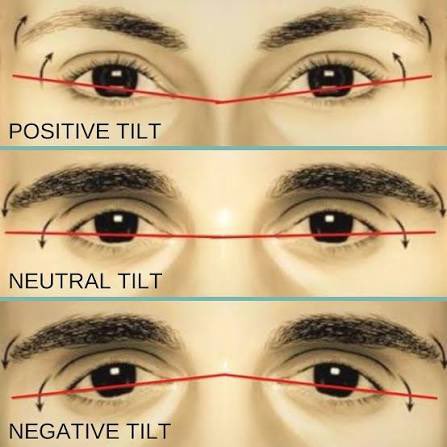 girlneeder's tweet image. looked up canthal tilt because i honestly forgot what it was and tell me I’m not going insane