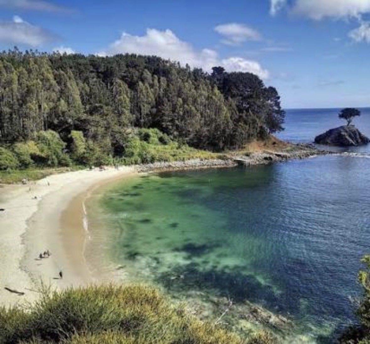 Hola, buenos días XLanders ®️🤗🤗

Entrenado ando 💪💪☕️☕️

…”Adónde van las palabras que un día partieron, acaso flotan eternas “…

Quiero estar acá, reconoces esta playa, 👇👇