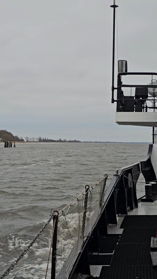 Hiddensee Forum tweet media