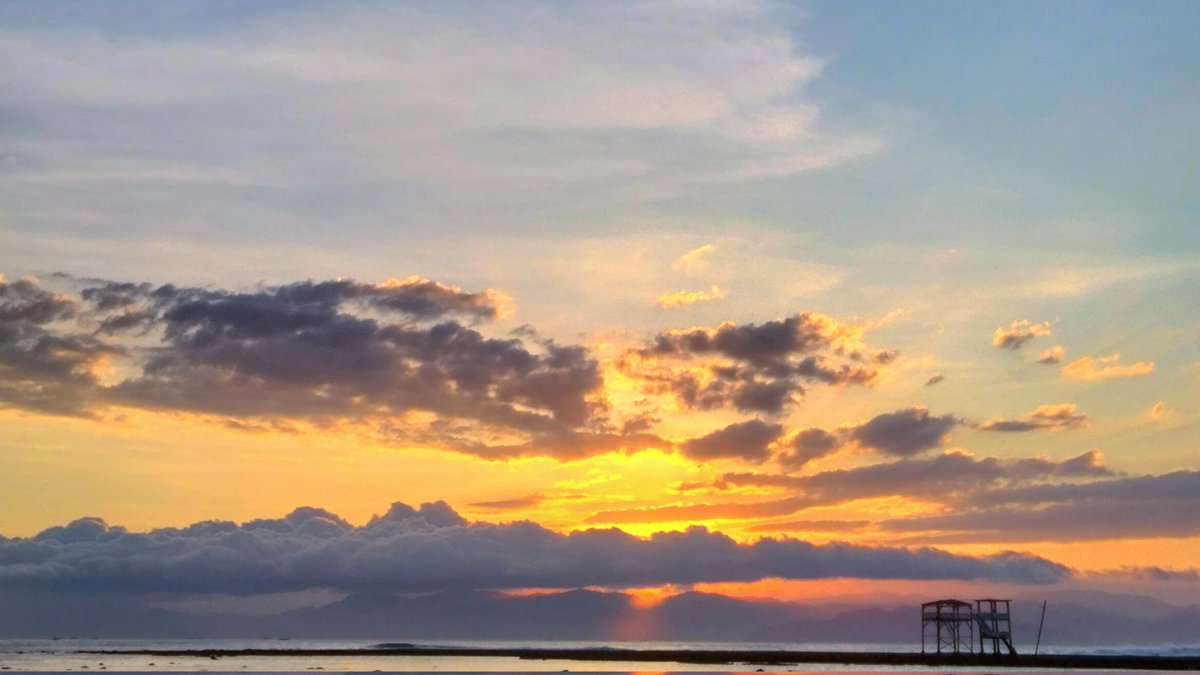 Hanie🍯 tweet media