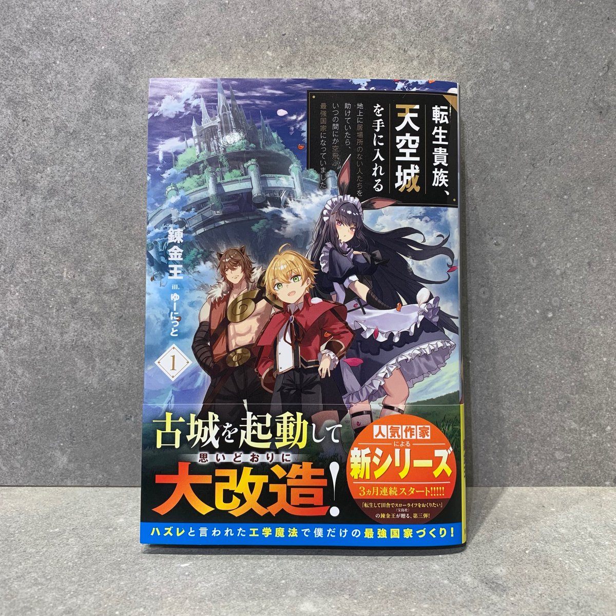 錬金王@魔物喰らいライトアニメ化 (@renkin1214) / Posts / X