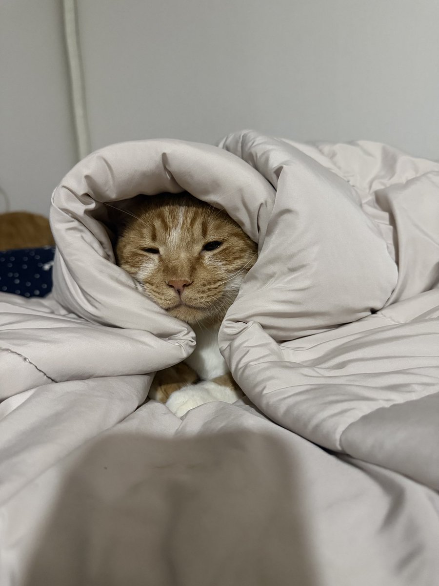 귀여운 입꼬리🥴