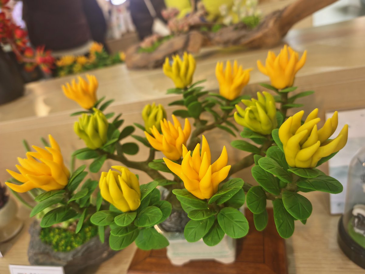 飞来麦浪 tweet media