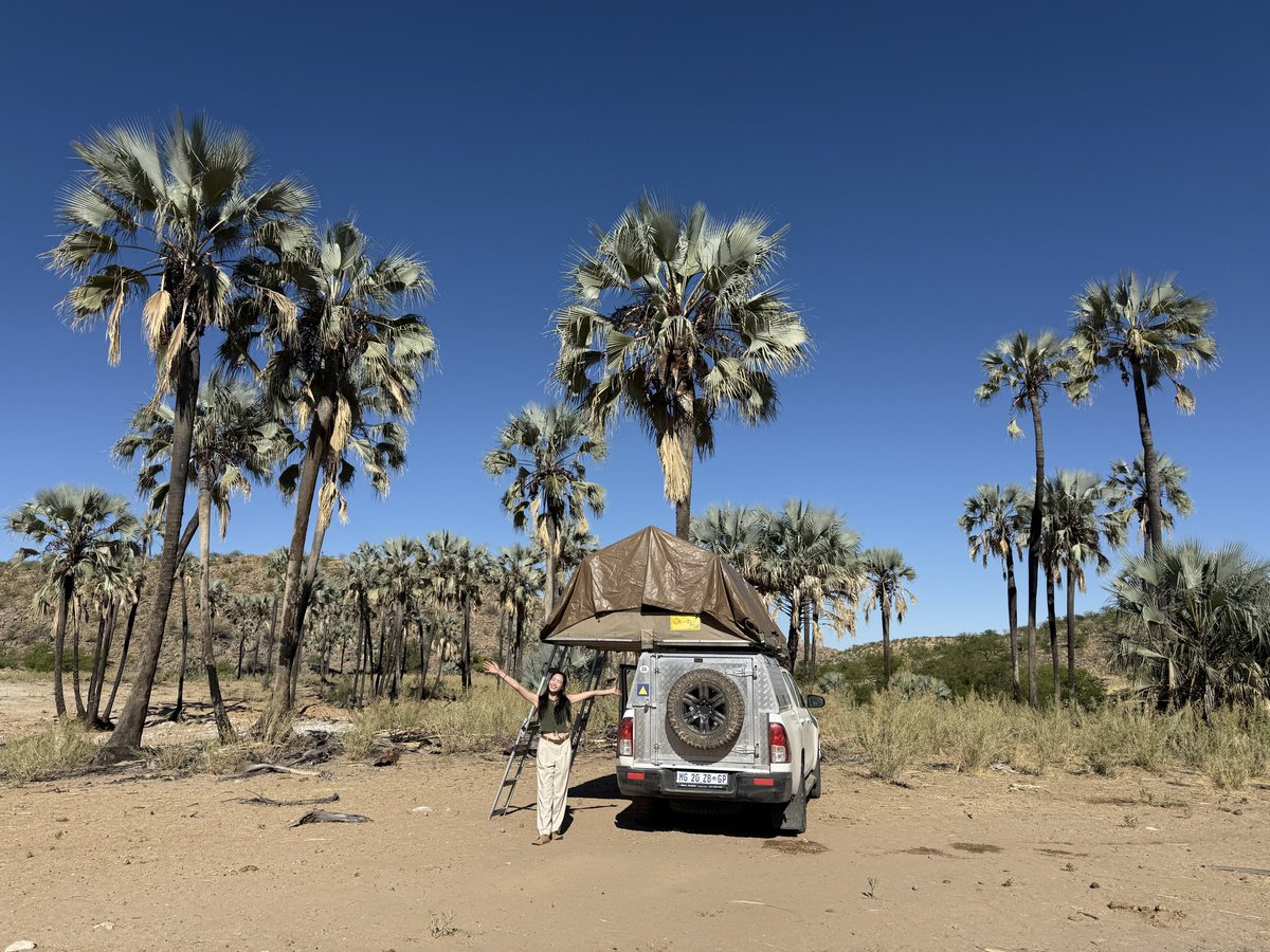 🆕#yukaonsafari 165回
【ナミビアでしか出会えない
幻のクロサイ🦏🇳🇦】

▶︎サイに特化したレンジャーの
トラッキングスキルとは？
▶︎幻のクロサイにしかない特徴とは？
▶︎過酷な乾燥地帯でどうやって
生き抜いているのか？

open.spotify.com/episode/7xddK8…

#太田ゆか #サファリ #南アフリカ #動物