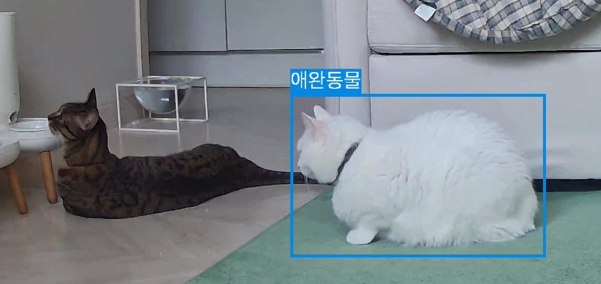 쯔 달팽이야...? 
펫캠이 동물로 인식도 안해줌 ㅋㅋㅋ