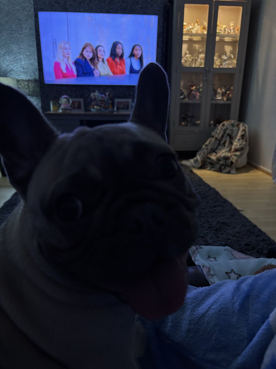 Pippin enjoyed the first episode and totally agreed with the decisions. Her face says it all!! <a href="/bbcapprentice/">The Apprentice</a> <a href="/Lord_Sugar/">Lord Sugar</a> #pippinfultonthefrenchie