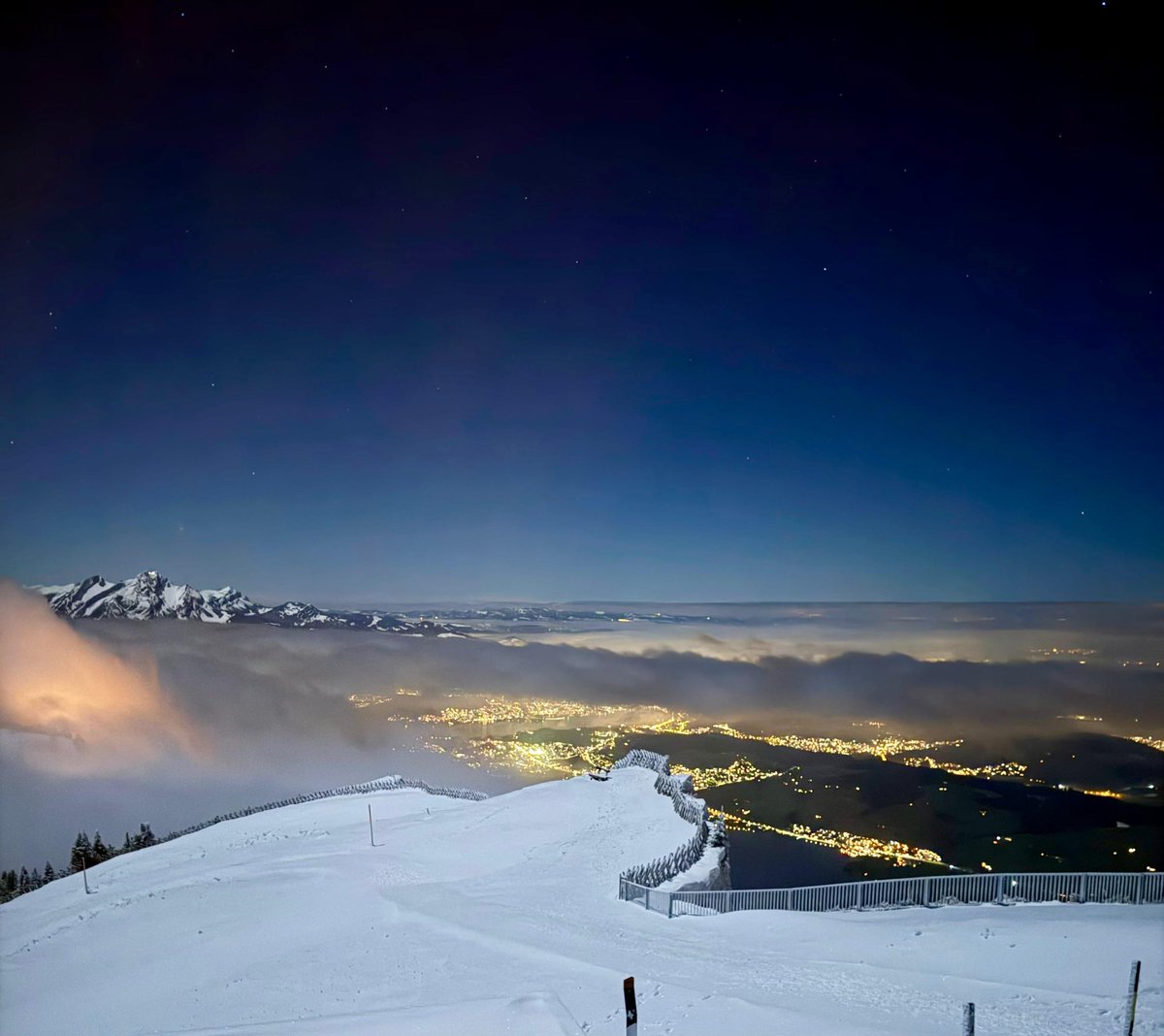 James Squire tweet media