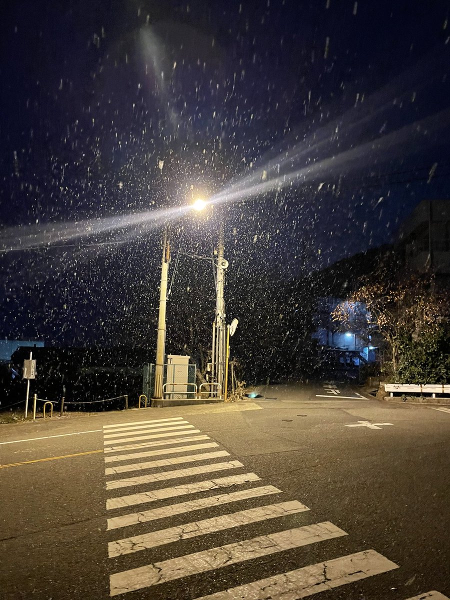 上手く撮れないな笑

（大学内）