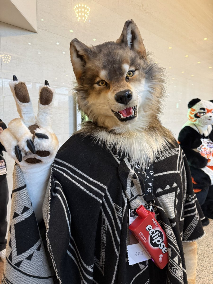 이클립스 / Eclipse tweet media