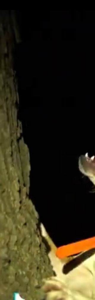 Estoy pensando es rescatar cierto formato…

🤔🤔🤔