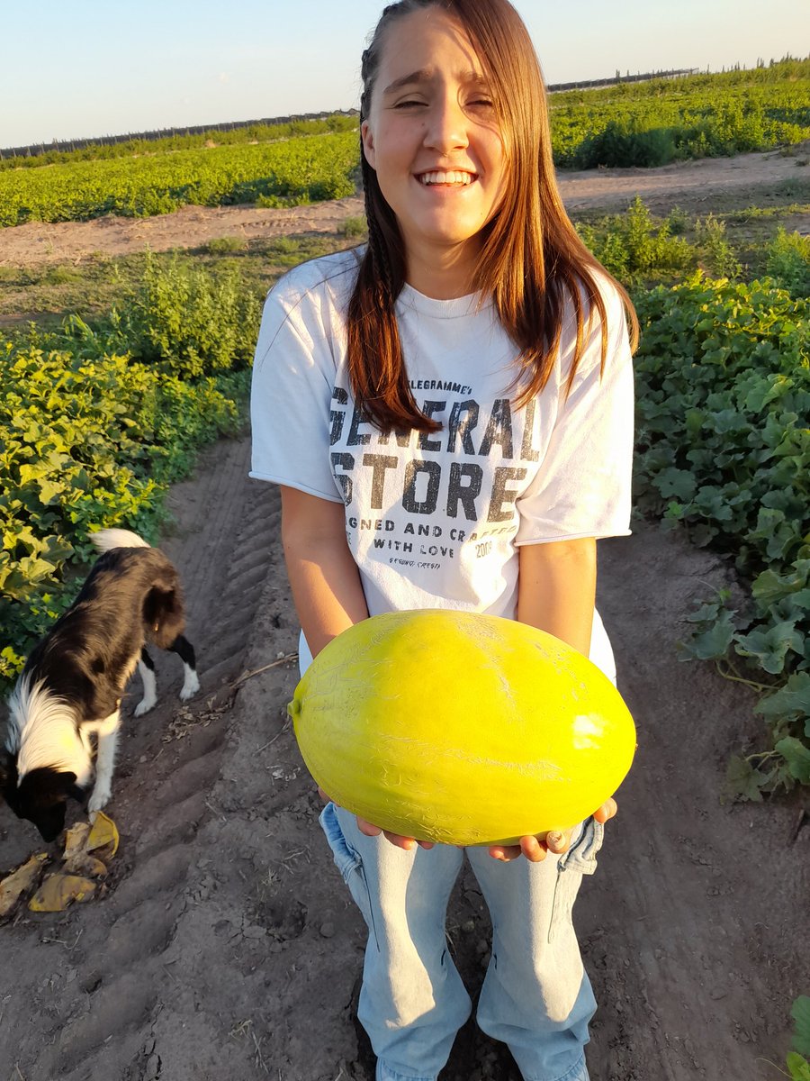Salimos a recorrer melones. Hoy el día es más liviano.