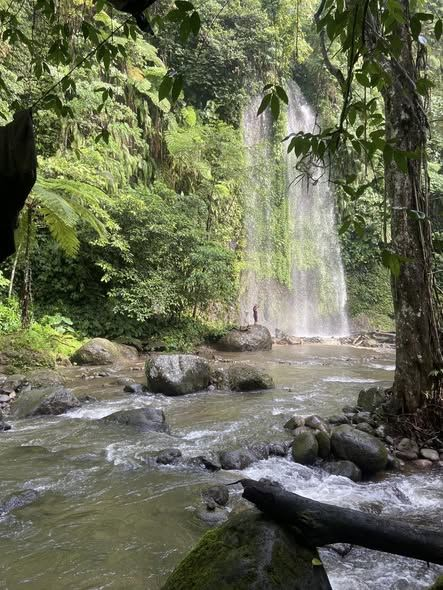 Step into the forest, and the world quiets down. 

Nature whispers the answers your soul already knows. 📷📷📷
#natureheals #mindfulness #innerpeace