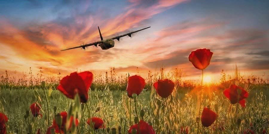 SallyB McGlone tweet media