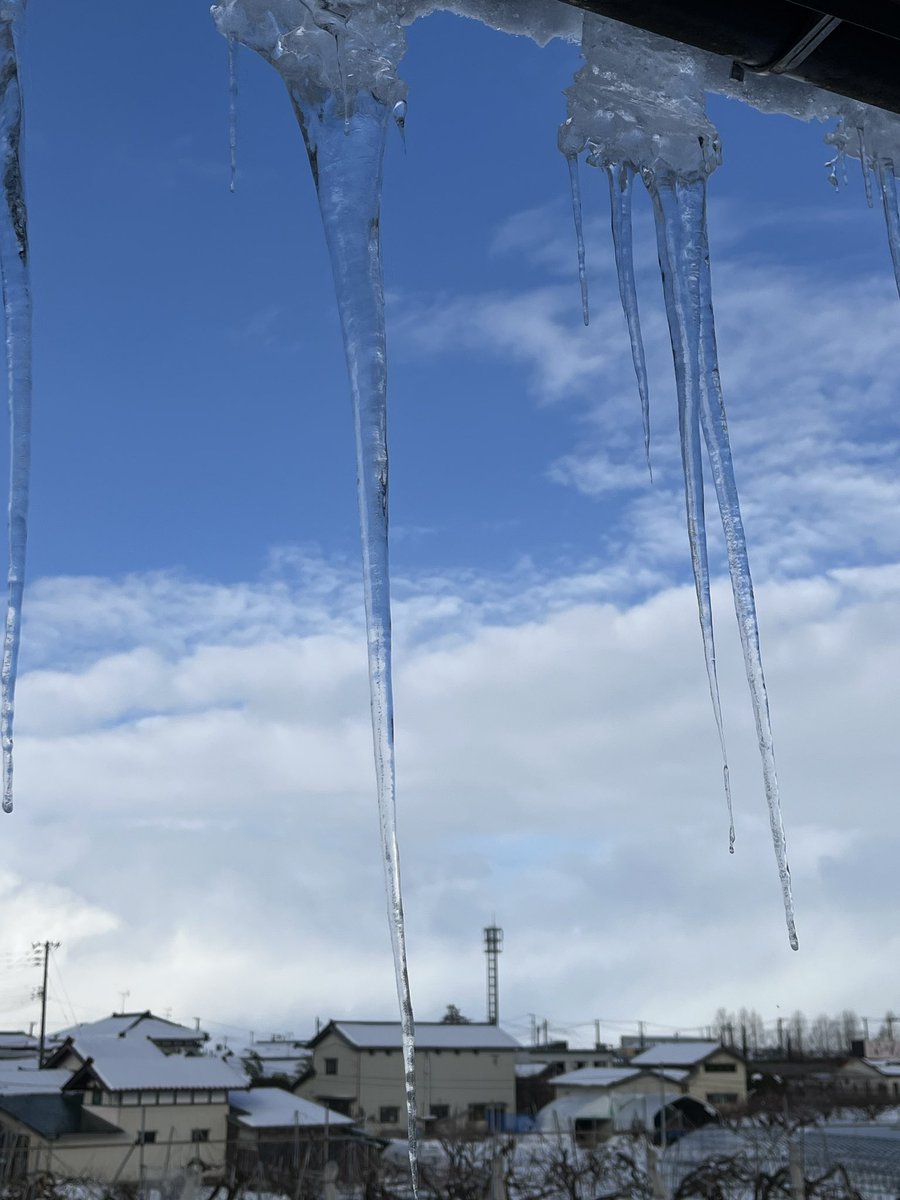 久し振りにめちゃくちゃ鋭利な氷柱を見ました👀✨
みなさま雪は大丈夫でしょうか☃️？
今夜からまた寒波が来るらしいので、雪国にお住まいのみなさまはお気をつけてくださいね💦

新潟在住Y子より🐻‍❄️