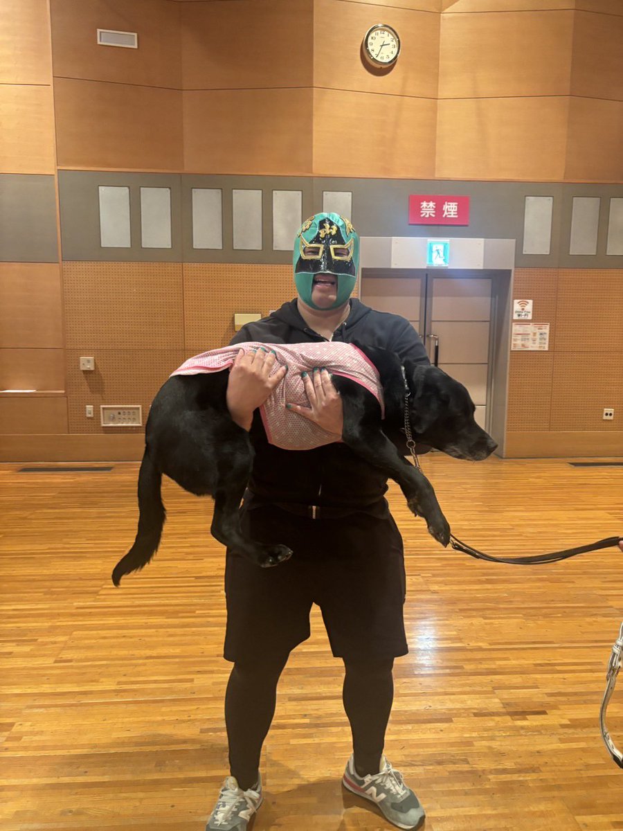 ishizuchsantaro's tweet photo. 3.15CIL星空presentsユニバーサルプロレス

実際の会場で配席、音、動線を想定。
当日可能な限り皆さんが楽しめるように。

音響その他はあっすん（井門明日香さん）大活躍⛰️

スーさん（盲導犬　スピカ）オフ時（ハーネス外す）に抱っこさせていただきました。 https://t.co/sSyk9n97YS
