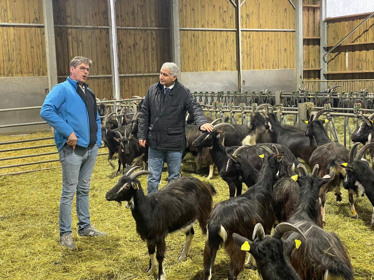 prefet59's tweet photo. #Agriculture   

𝐀̀ 𝐂𝐫𝐞̀𝐯𝐞𝐜œ𝐮𝐫-𝐬𝐮𝐫-𝐥’𝐄𝐬𝐜𝐚𝐮𝐭, 𝐮𝐧 𝐟𝐫𝐨𝐦𝐚𝐠𝐞 𝐝𝐞 𝐜𝐡𝐞̀𝐯𝐫𝐞 𝐢𝐬𝐬𝐮 𝐝’𝐮𝐧𝐞 𝐩𝐫𝐨𝐝𝐮𝐜𝐭𝐢𝐨𝐧 𝐥𝐨𝐜𝐚𝐥𝐞

🐐 Fayçal Douhane, sous-préfet de Cambrai, s’est rendu à la chevrerie Bonne Enfance, à Crèvecœur-sur-l’Escaut.

Cette visite a permis de mettre en valeur le savoir-faire de l’exploitant, de la production du lait à sa transformation en fromage de chèvre, et de rappeler le rôle essentiel des productions locales dans le dynamisme du territoire.

����Par cette visite, l’État réaffirme son soutien à une filière agricole de proximité et durable.