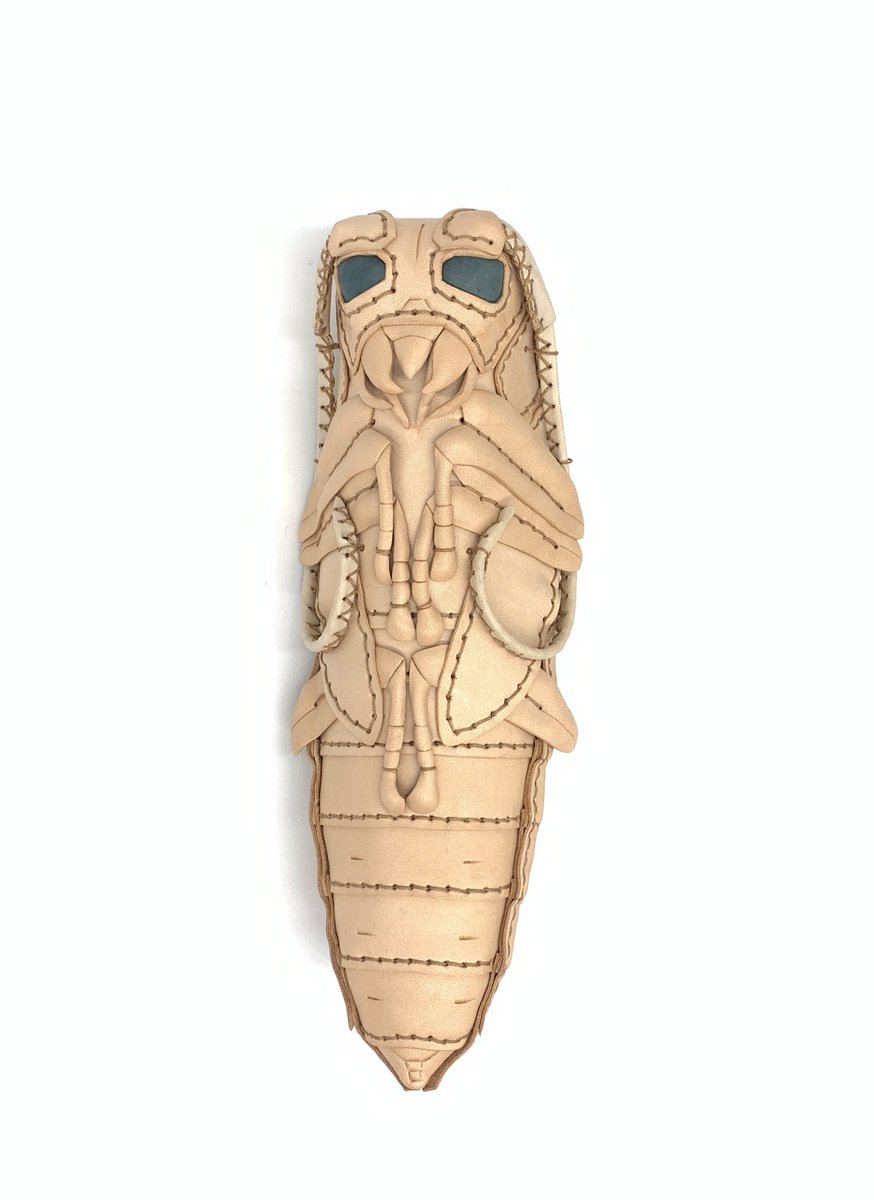 あまのじゃくとへそまがり (@amaheso_sp) / Posts / X