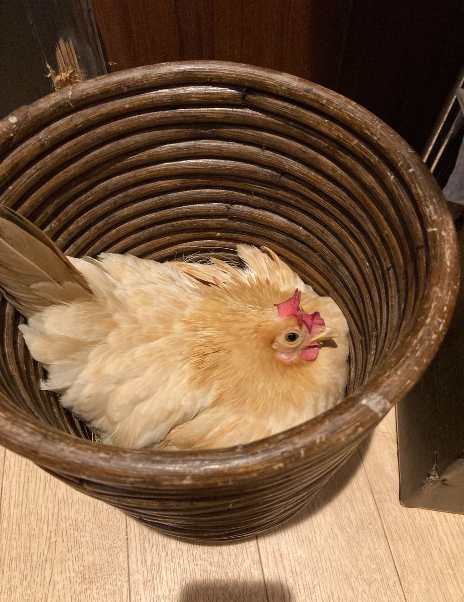 ずっと忘れられない出来事 tweet media