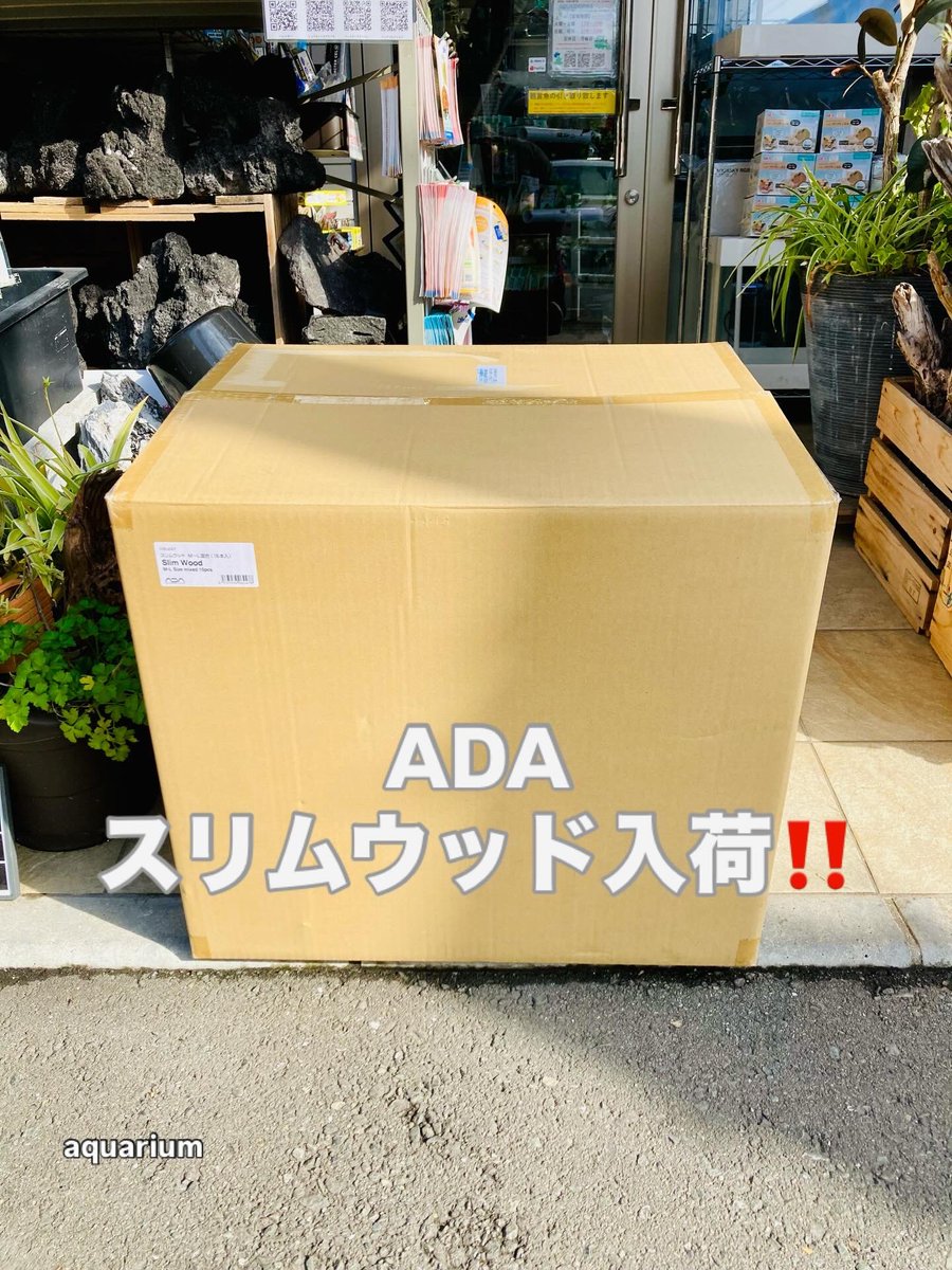 ADAの人気レイアウト素材 スリムウッド少し大きめが入荷しました 値