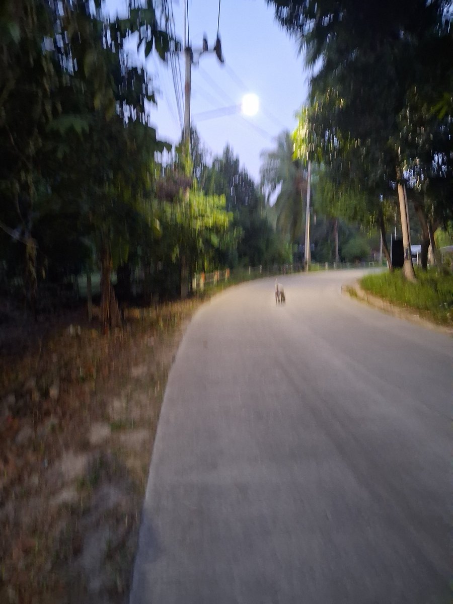 Rebecca รีเบคก้า tweet media