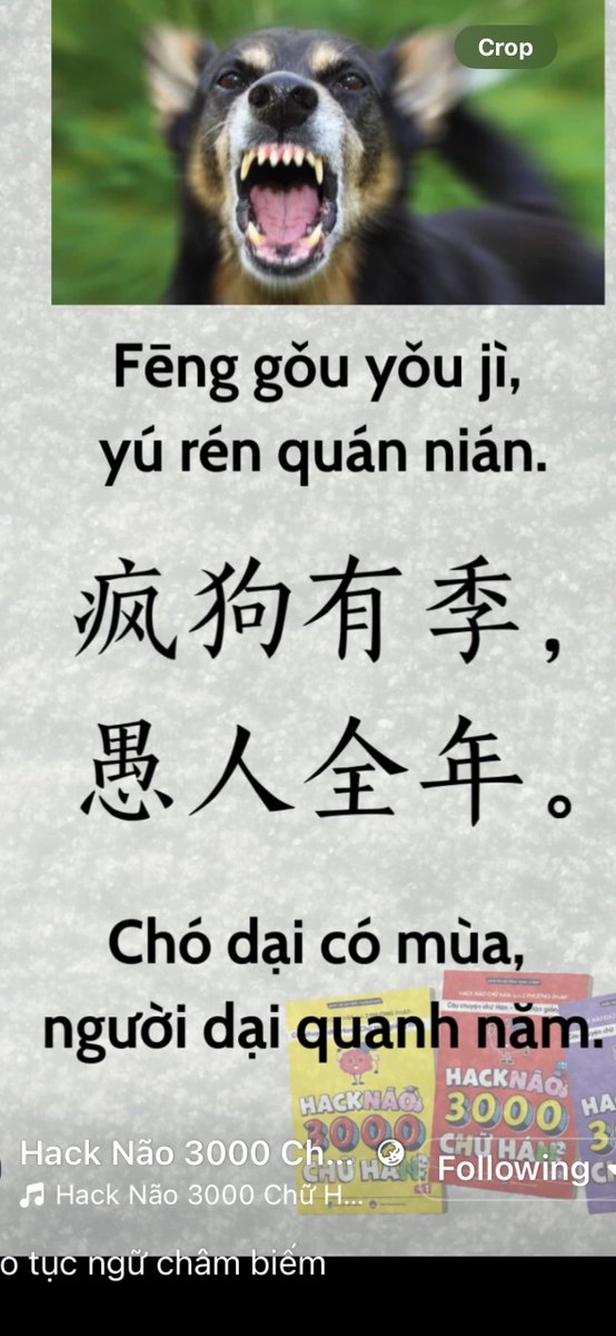 Tony_Buoi_Sang's tweet photo. Chào mừng cư dân mới đến thị trấn X, thị trấn hào sảng nghĩa tình.

Ai cần gì thì còm nhen. Học ngoại ngữ tiếng Anh hoặc Trung hoặc ham hố cả 2 thì còm rõ, học bán hàng, học làm video, học live stream, đọc sách văn học, đọc bài tui viết, gặp gỡ bạn bè ở đây offline để hợp tác làm ăn, cùng nhau đi du lịch...Nhu cầu gì thì báo tui biết để tui tổ chức cho người biết hay người đã làm thành công (tui gọi là thầy cô) hướng dẫn lại cho người chưa biết. 

Trong bất kỳ lĩnh vực nào, một người cũng luôn là trò của người này và là thầy của người khác. Ông xe ôm vẫn là thầy của mình trong việc rành ngõ ngách đường sá, nên mình đều tôn trọng như nhau nhen. Ông tổng thống thì có nhiệm vụ ông tổng thống, cô quét rác thì có nhiệm vụ của cô quét rác, làm nghề dạy học hay y tế cũng vậy, nên không có nghề nào cao quý hơn nghề nào như mọi người nói kiểu xưa cũ. Tất cả mọi ngành nghề đều cần thiết để vận hành xã hội. Tư duy tui vậy, các bé có cùng quan điểm thì vỗ tay vỗ đùi người bên cạnh đi nhen! 

*Nay học câu thành ngữ này mắc cười qué mấy bé.