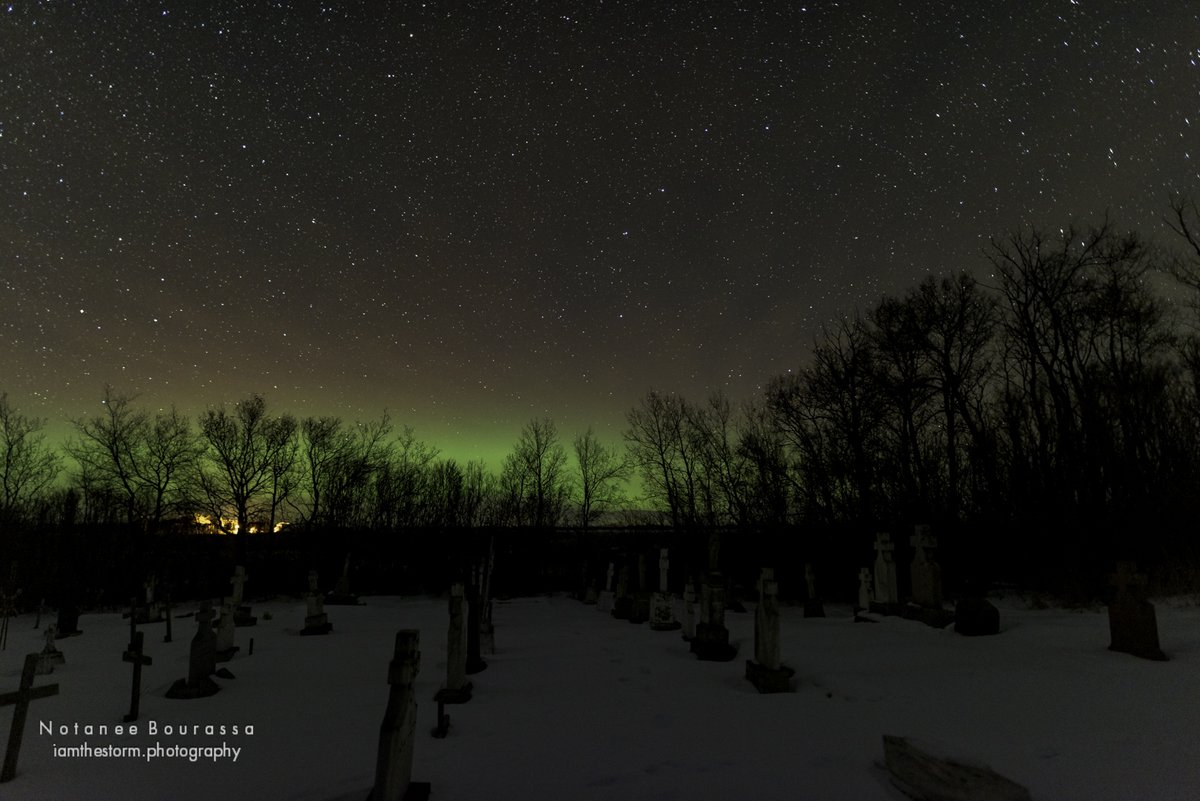 Mr. Notanee Bourassa (SSM x 2) tweet media