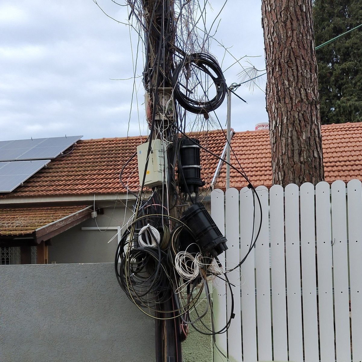 נונסנס tweet media