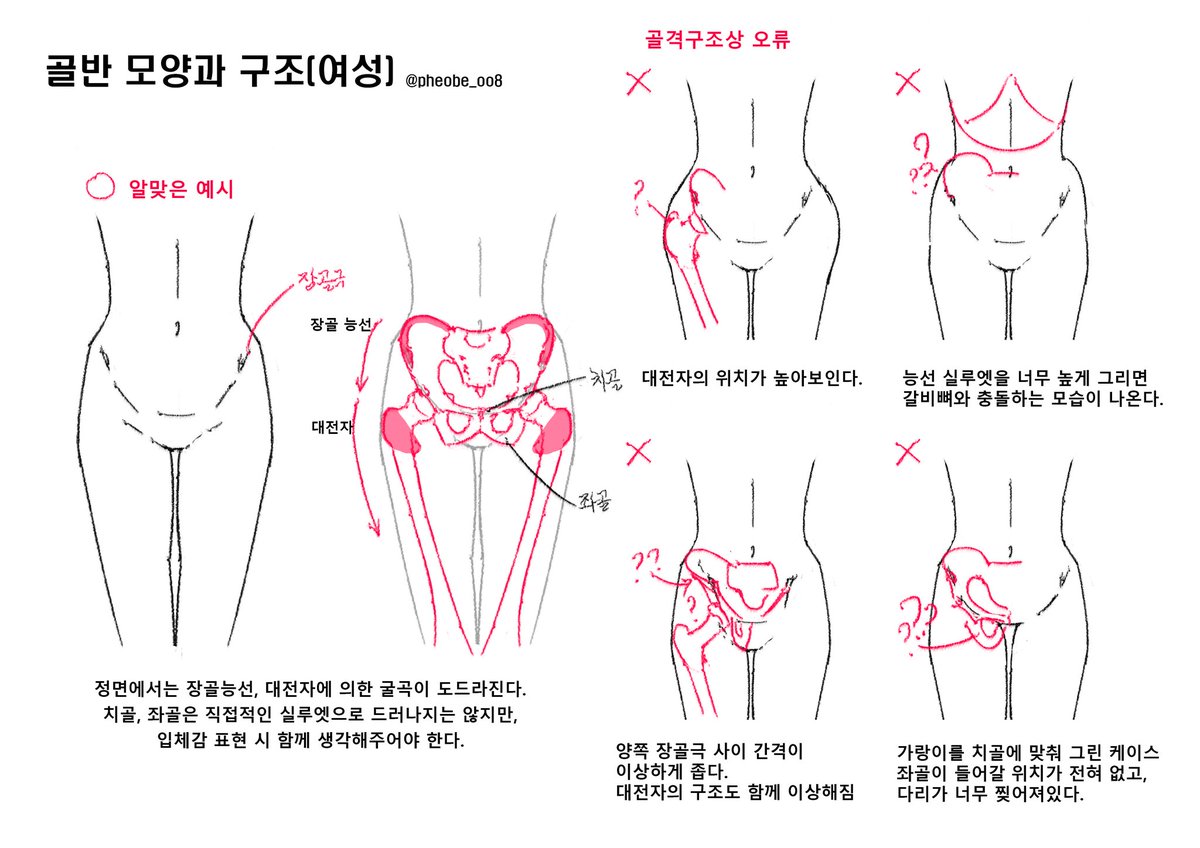 pheobe_oo8's tweet photo. 골반그리기 실수하는 경우를 알아보자
예쁜골반 되세요 https://t.co/gKiglKz67i