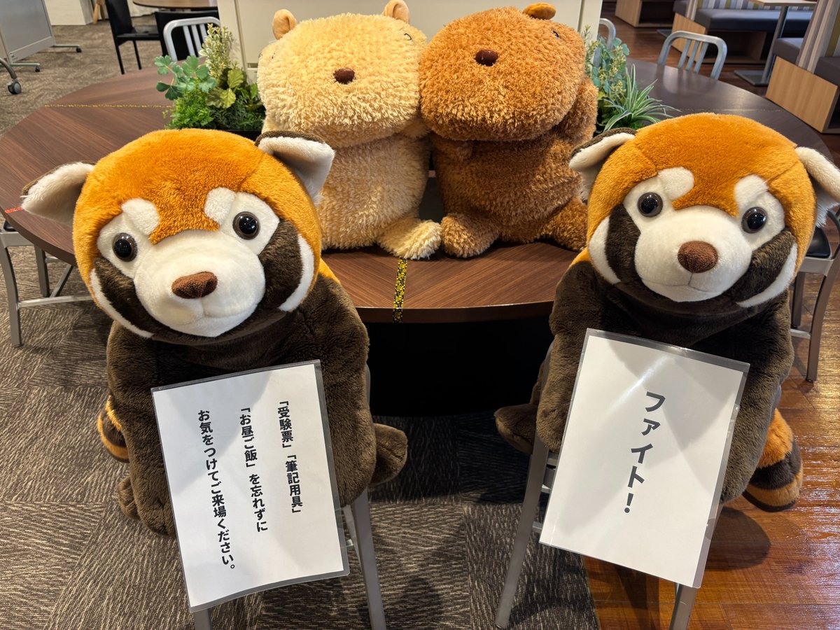 #日本大学 
#文理学部
#日大 
#入試 
#受験 
#一般選抜 
#受験シーズン 
#がんばれ受験生 
#カピバラさん
#レッサー君