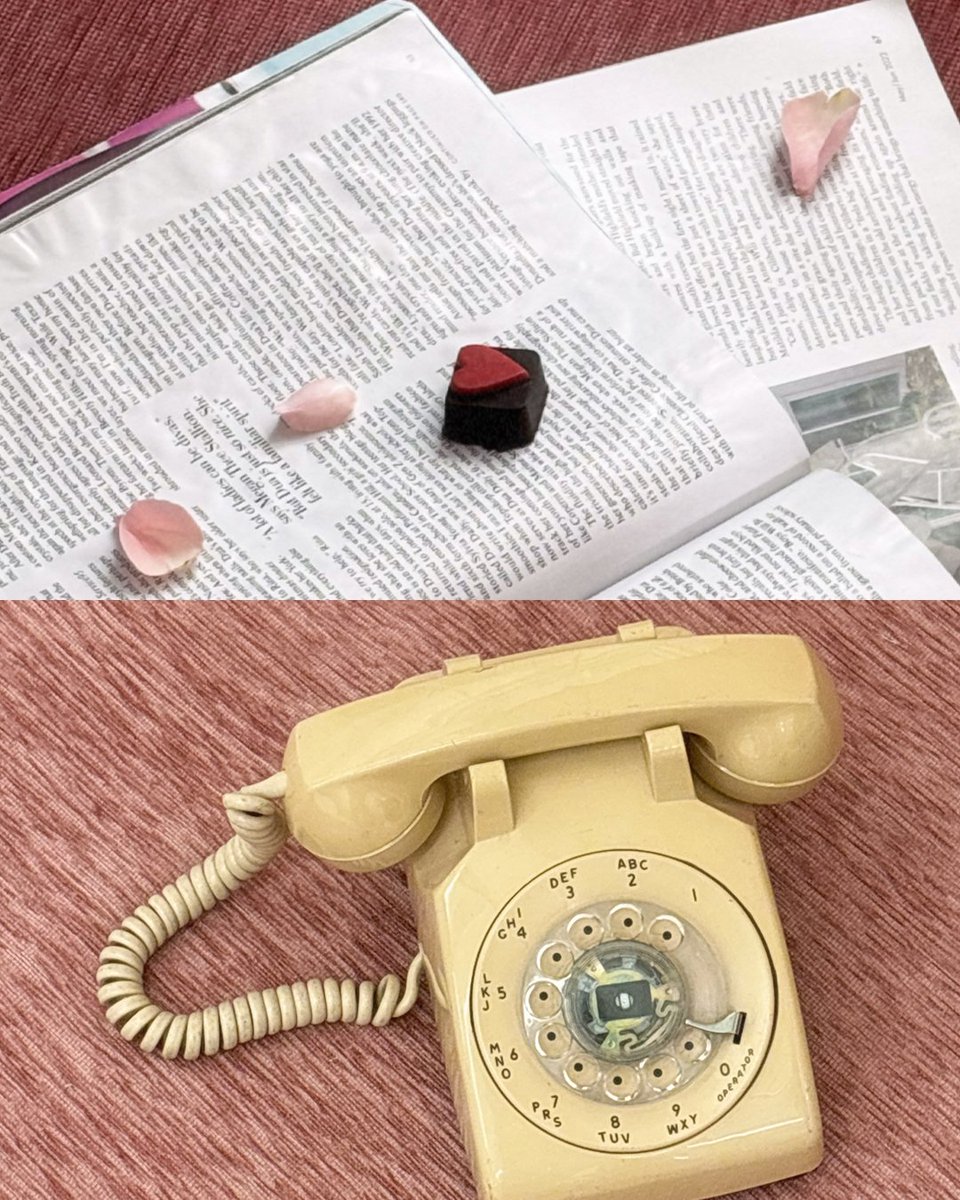 .ᴖ. tweet media