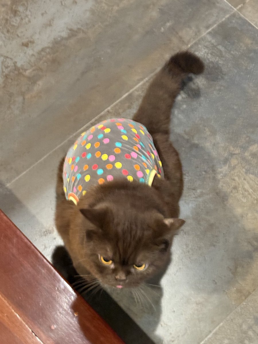 yoojeenoo's tweet image. แววตาแห่งความรักปะ