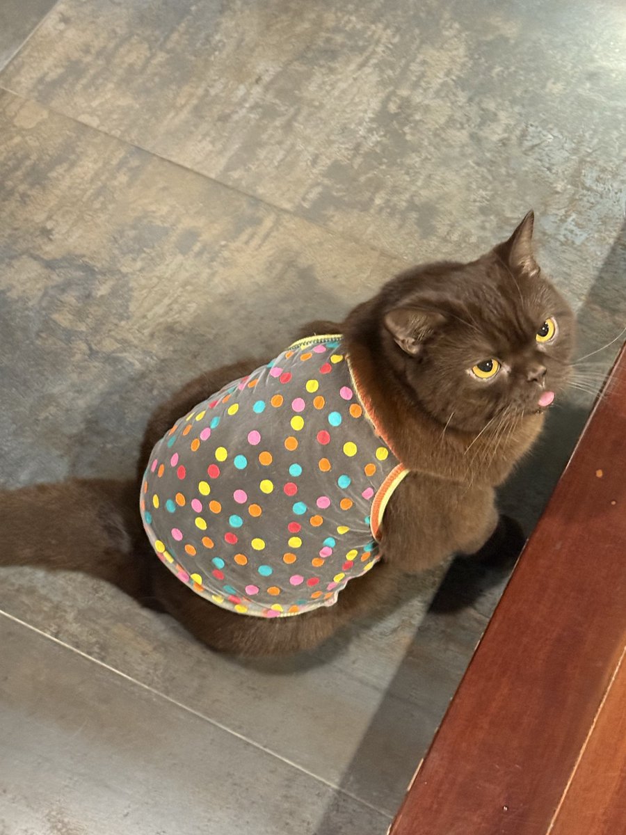 yoojeenoo's tweet image. แววตาแห่งความรักปะ