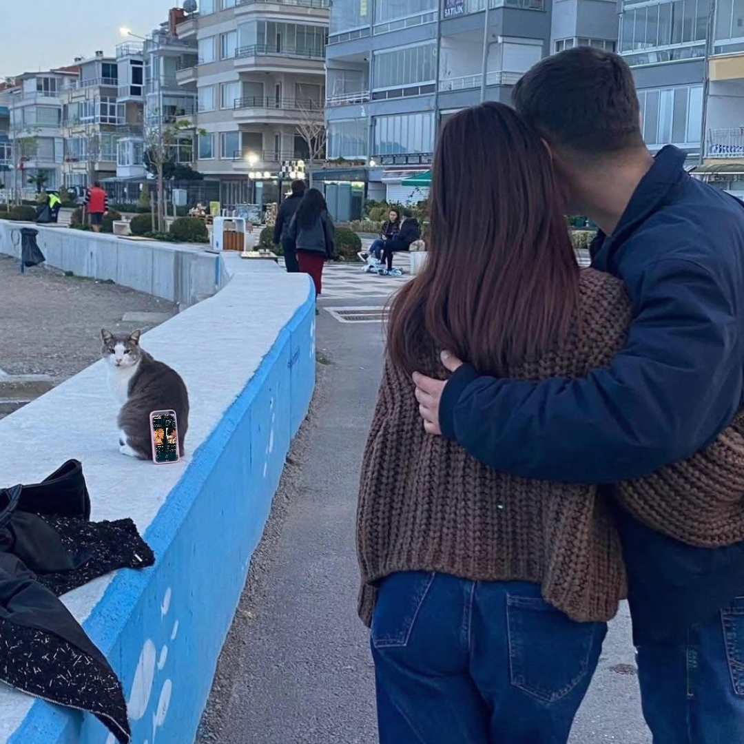 islams784's tweet photo. In Istanbul, or anywhere in the world, if you enjoy watching short dramas and earning money, please log in to our platform. https://t.co/XyIdQCtMVS
#IPFLOW  #SOHAHA  #梭哈哈 https://t.co/SdpEtrzbPB