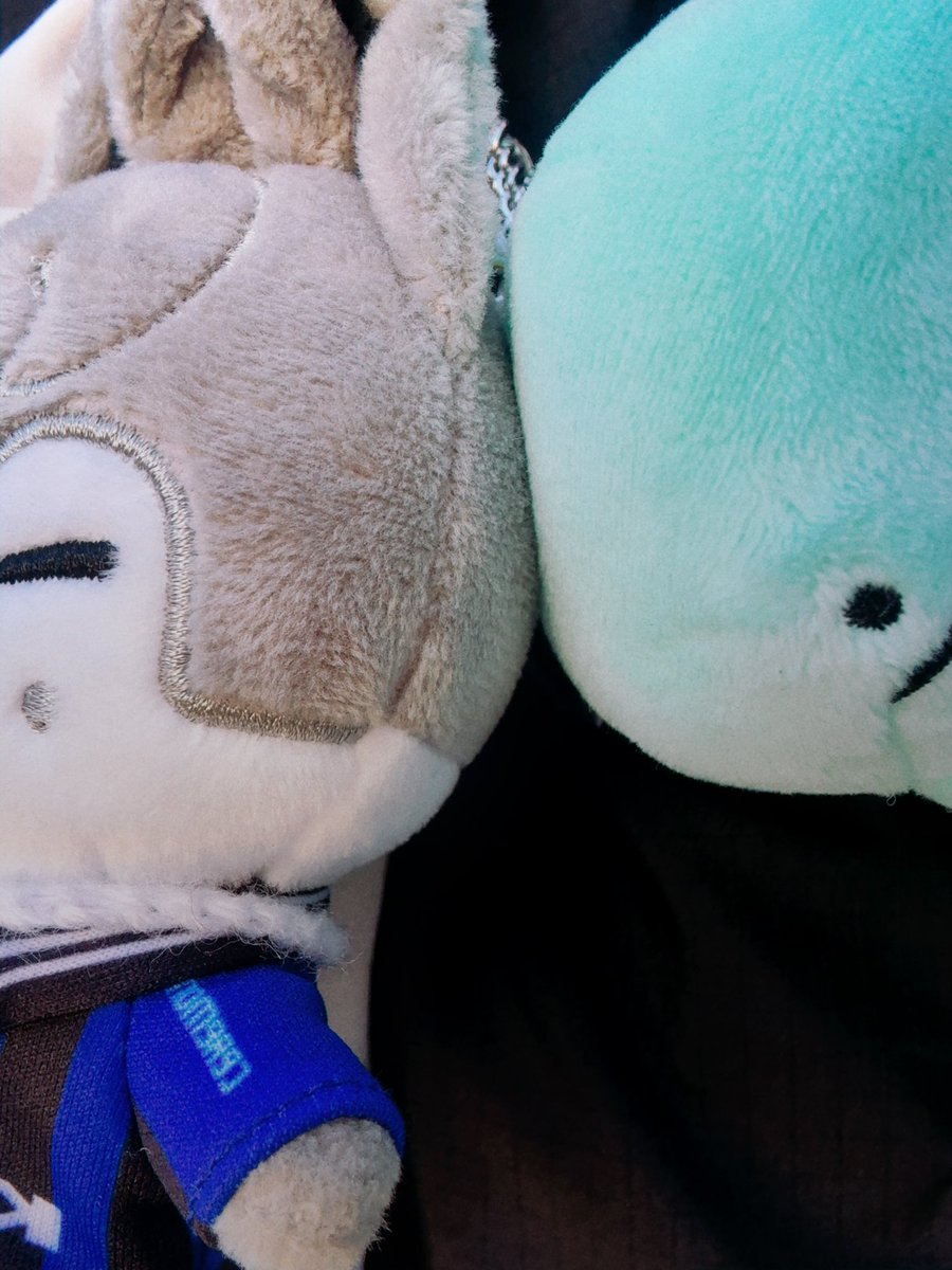 kachianii's tweet photo. ならべたよ https://t.co/WlaKBmRbXQ