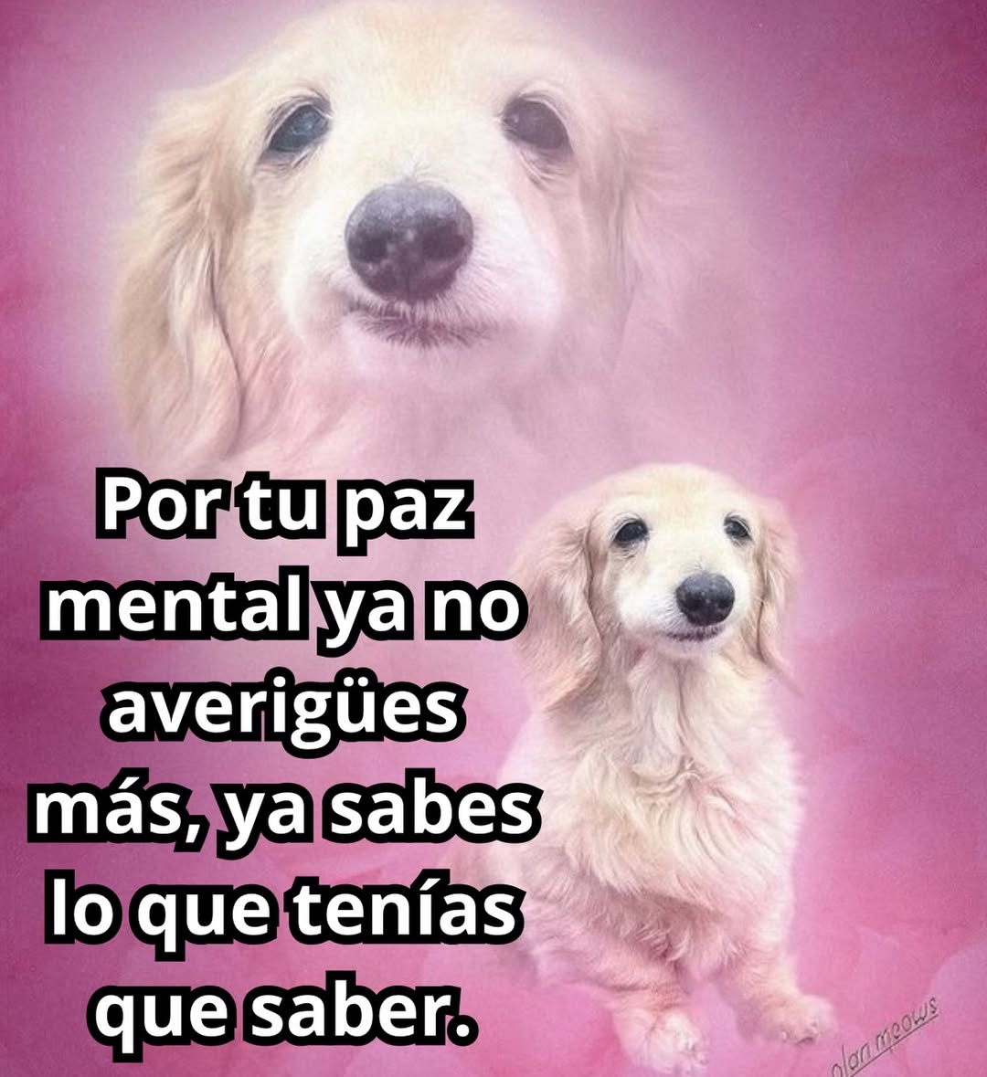 Ojos color sol (@ojoscol0rsol) on Twitter photo 