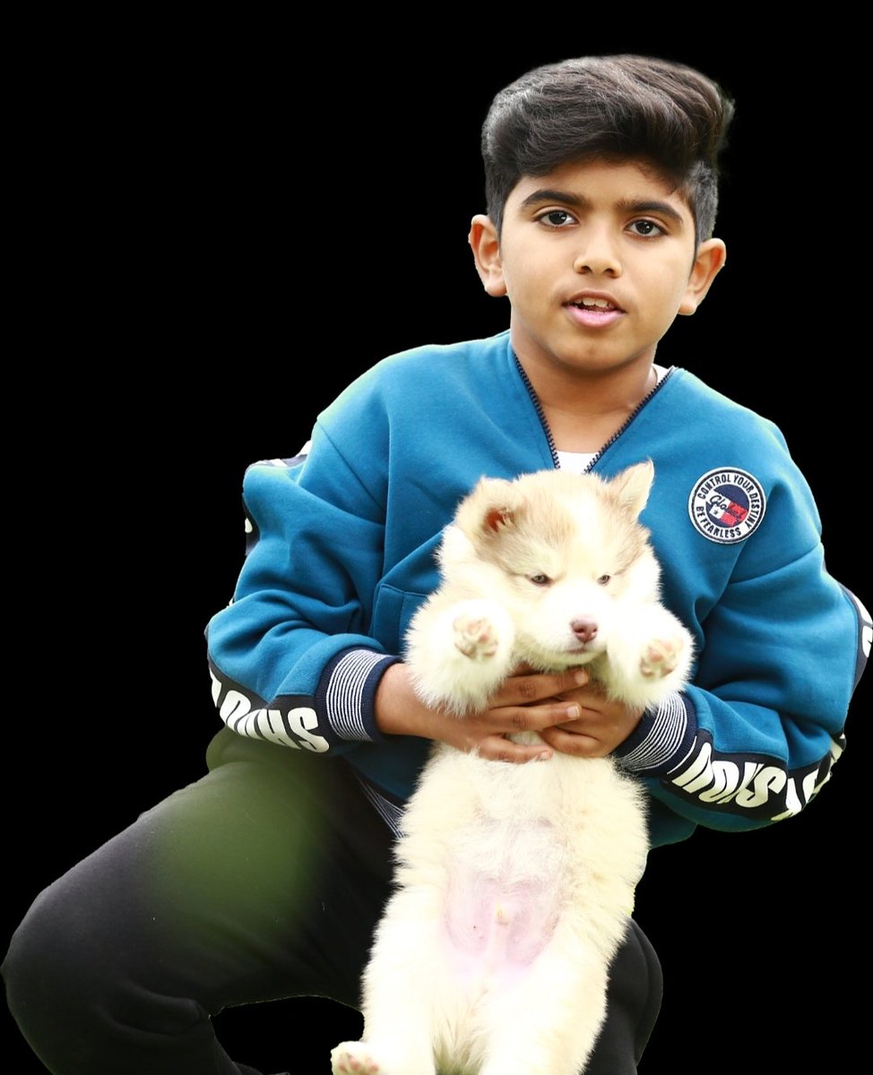 allindiaavfc's tweet photo. Hearty congratulations to our Little Champ #ArnavVijay for winning Best Child Actor 2021 #TamilnaduStateFilmAward for the film #OhMyDog 🏅🏆
We look forward to your future successes.🤩🎉

@arunvijayno1 💥💐

Thank You @2D_ENTPVTLTD

#ArunVijay #AV #AVJ #TNStateFilmAwards https://t.co/ItUNrUIjs1