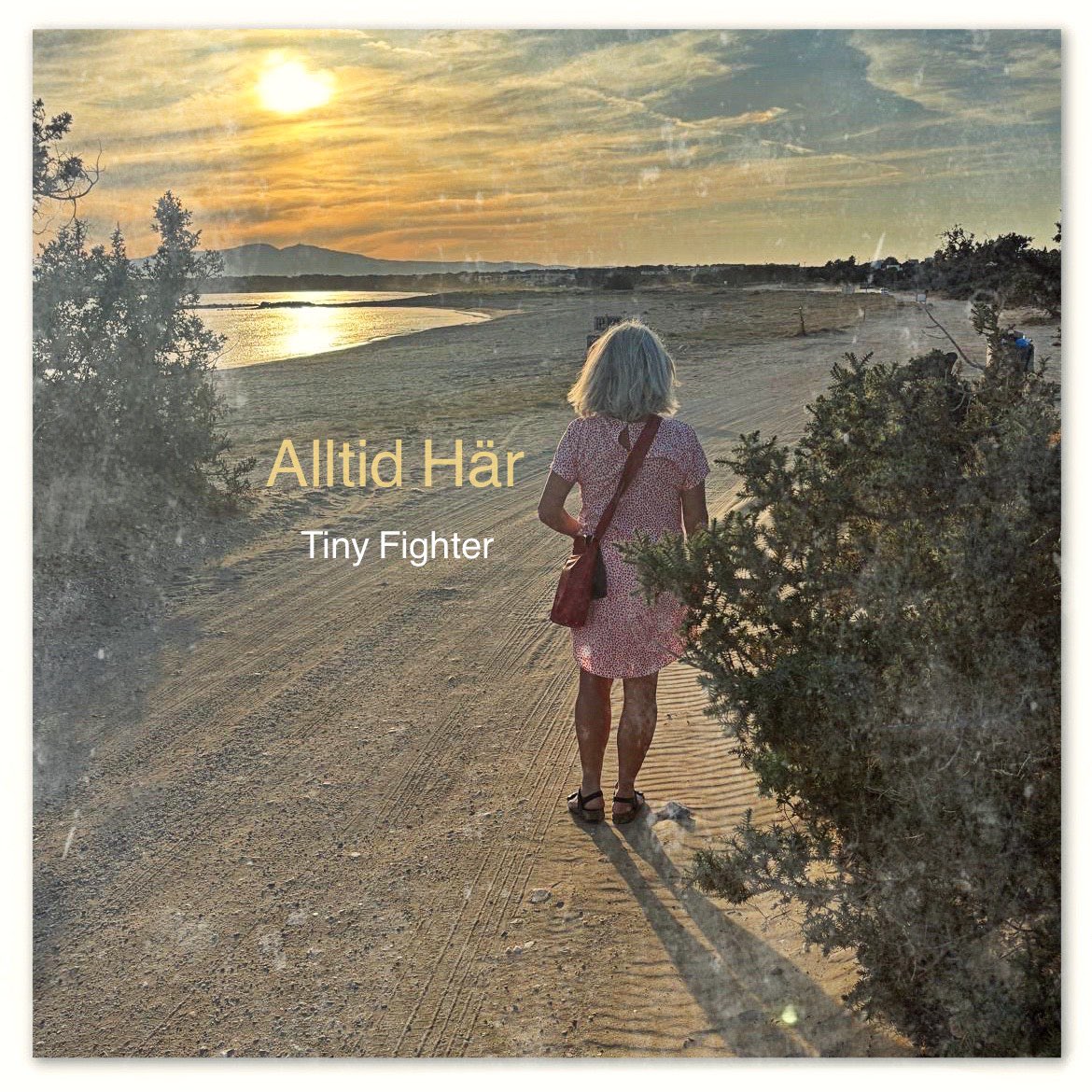 Tiny Fighter tweet media