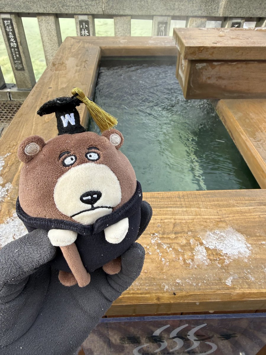 ぷくわせ、草津に来たよ
寒いね
ぷくわせも温泉に入りたい？