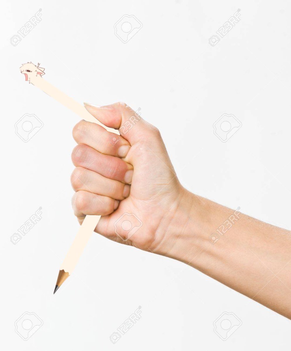 Zofie 🔜 Thaitails 2026 tweet media