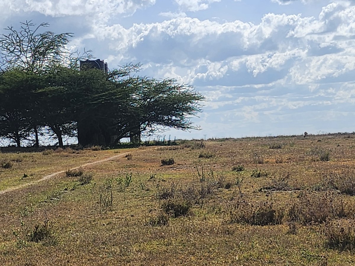 edlon_group's tweet photo. PLOTS FPR SALE IN ISINYA
RIGHT NEXT TO ENCHIPAI CAMPING SITE AND COTTAGES 
ASKING PRICE 49,000KSH
DEPOSIT 49,000KSH
PAYMENT WITH 6-9 MONTHS 
FOR VIEWING PURPOSES CALL 0790 999095 https://t.co/zRurllvjEc