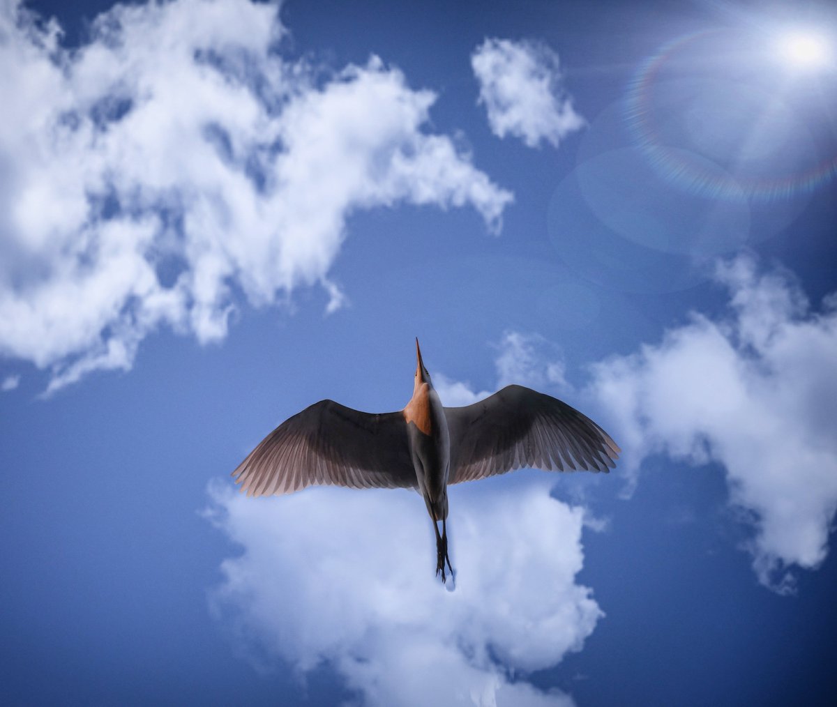 Today’s Photography Challenge theme is “Flyday Friday” 🕊️   

Share / Repost your action or in-motion photographs — moments frozen mid-flight, movement, energy, or life in motion.