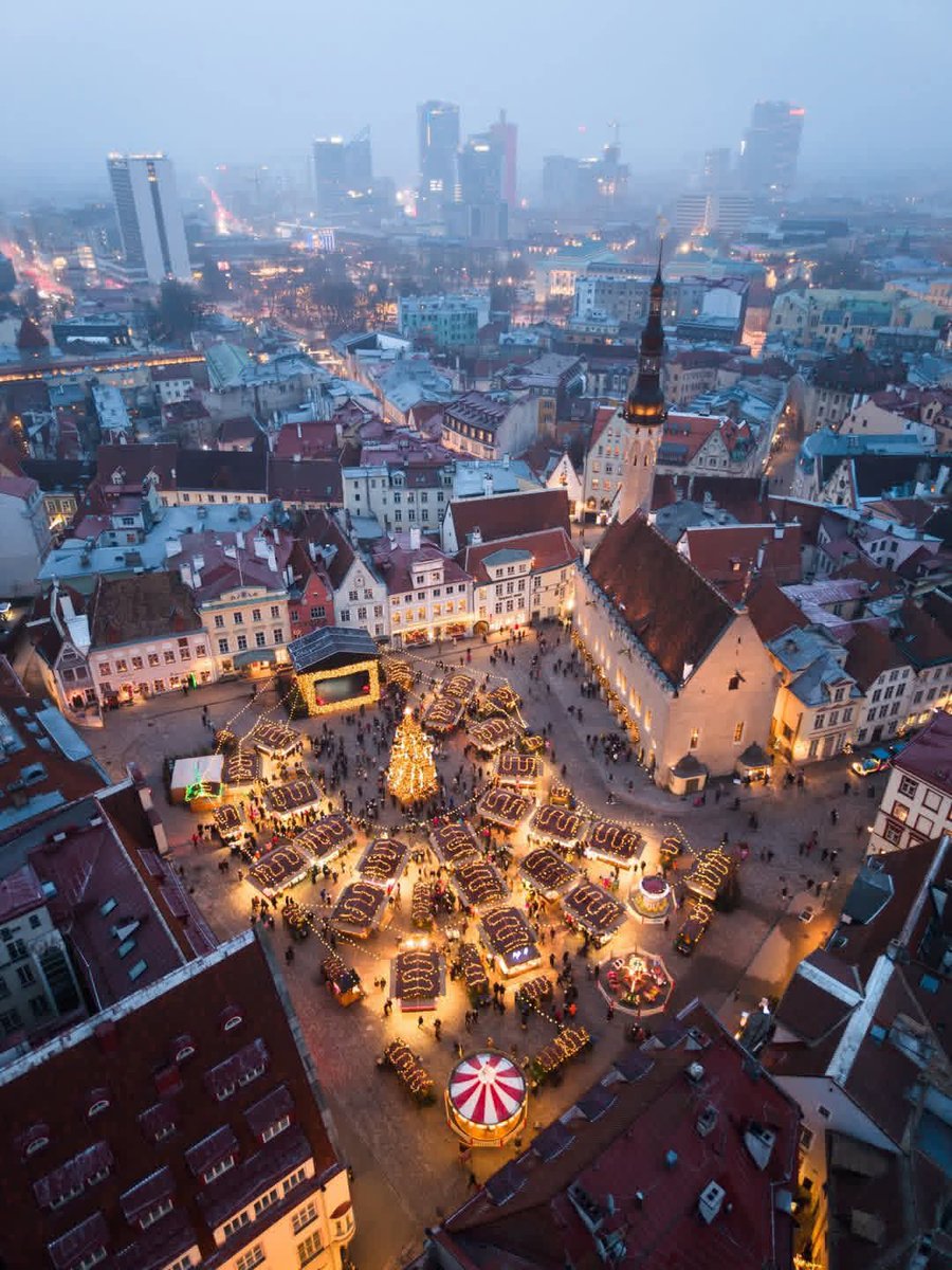 Seascape Nature tweet media