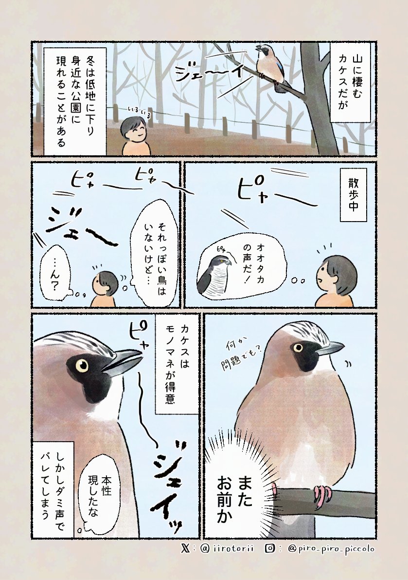 「そっくりなのに」
なぜか最後にネタばらしをしてくれます。
