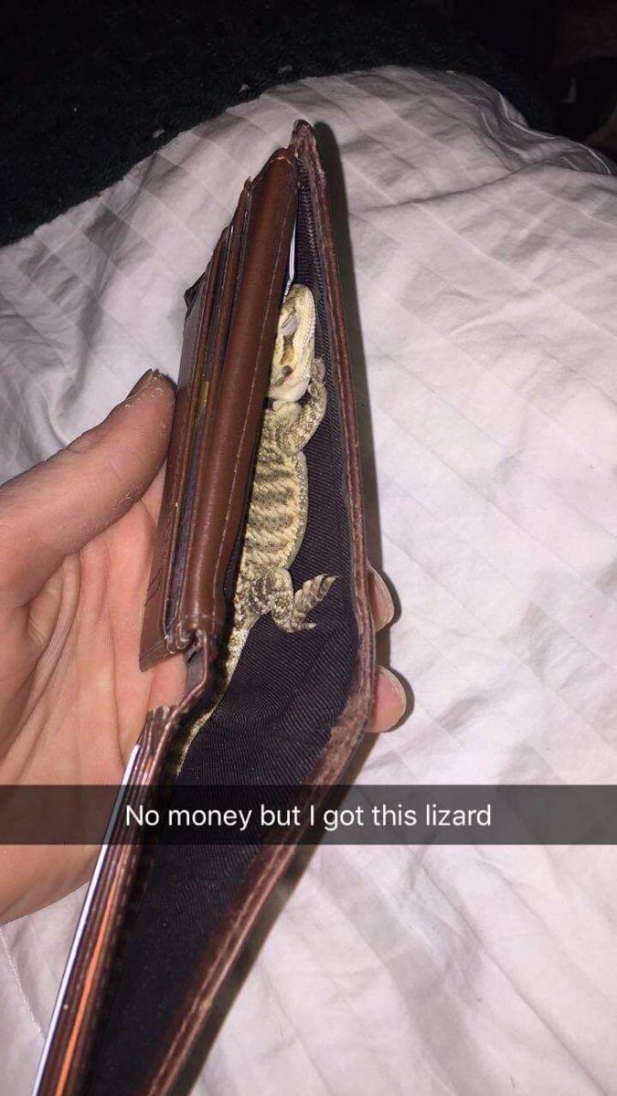 Images AI Could Never Recreate (@imagesaicouldnt) on Twitter photo 