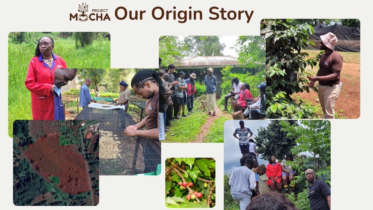 Project Mocha tweet media