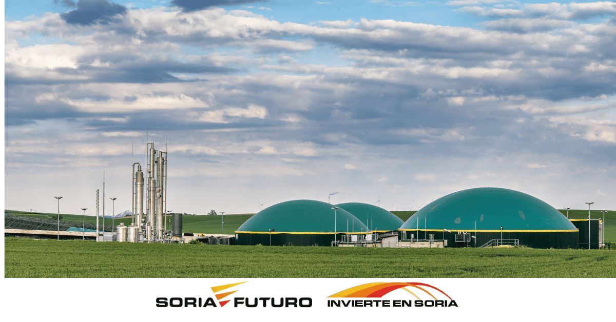 Ágreda avanza hacia la economía circular con una nueva planta de biometano impulsada por IAM Carbonzero.

Fuente: Heraldo Diario de Soria

invierteensoria.es/actualidad/agr…