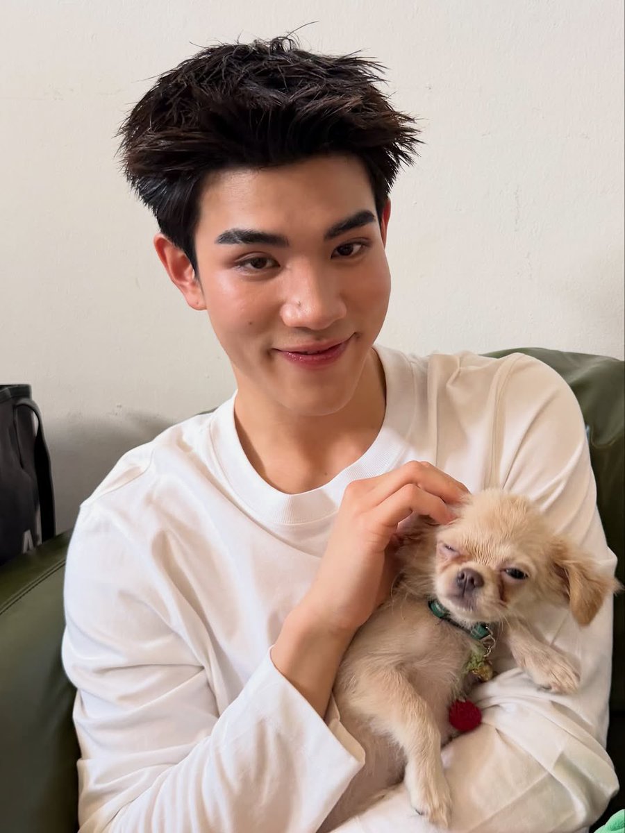soooooooo cute!!! 🐶🤍
cr: bonsoir_le__chihuahua

#Fourthnattawat #โฟร์ทณัฐวรรธน์