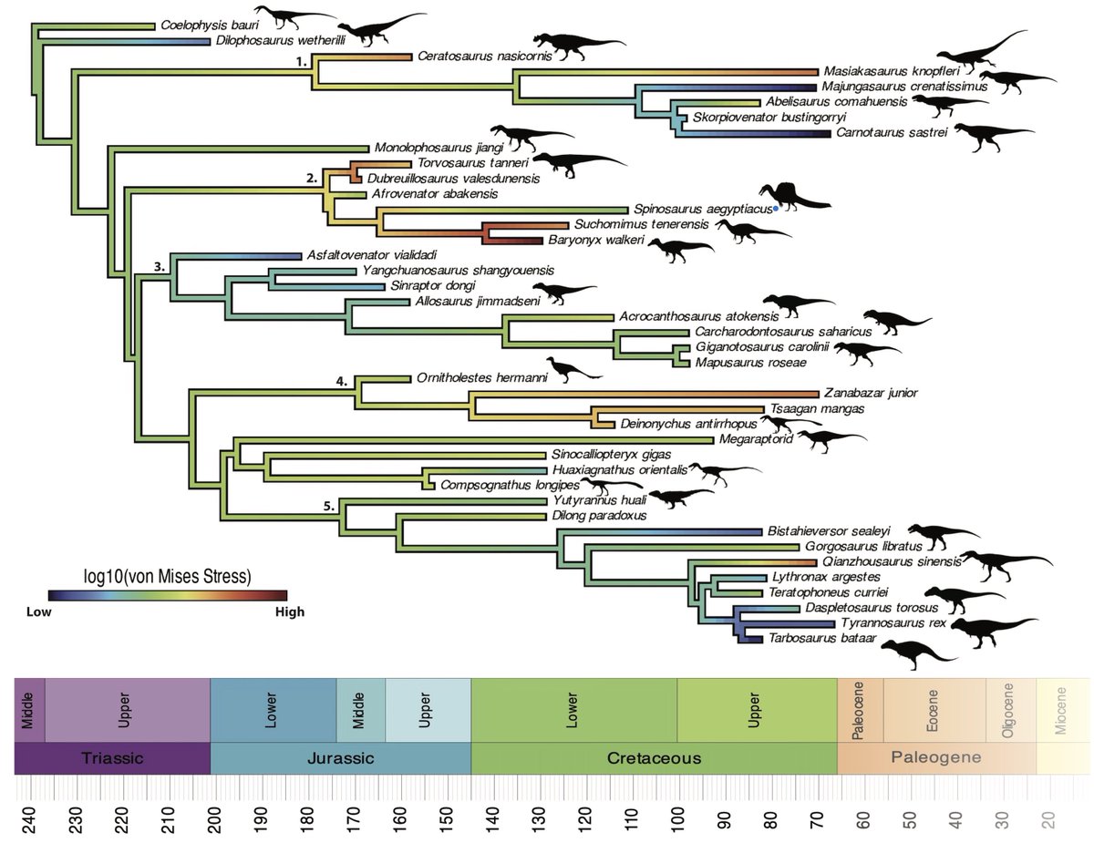 Evan Johnson-Ransom tweet media